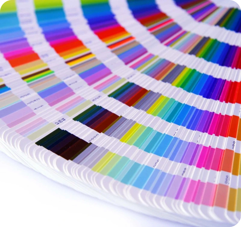 Colorful paint swatches in circular pattern